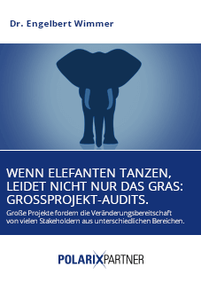 https://rolandbergerprod-media.e-spirit.cloud/b967125f-df72-4ad3-ab2f-637f1881fa46/whitepapers/Vorschaugrafiken/polarixpartner_whitepaper_grossprokekt_audits_20121119_de_png.png